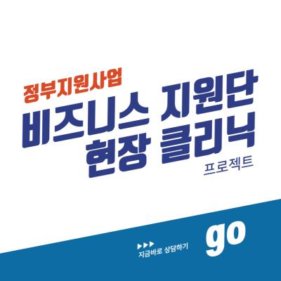 [정부지원컨설팅] 비즈니스 지원단 현장 클리닉 프로젝트